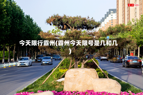 今天限行霸州(霸州今天限号是几和几)