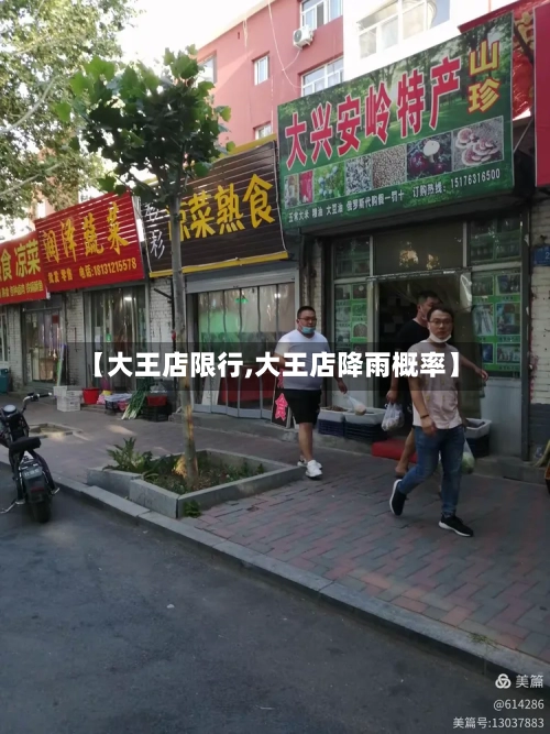 【大王店限行,大王店降雨概率】
