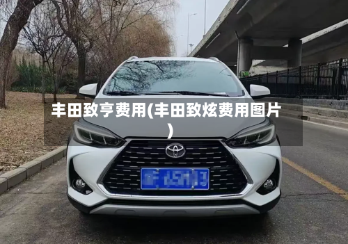 丰田致亨费用(丰田致炫费用图片)
