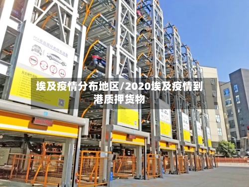 埃及疫情分布地区/2020埃及疫情到港质押货物
