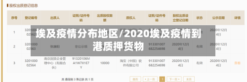 埃及疫情分布地区/2020埃及疫情到港质押货物-第2张图片