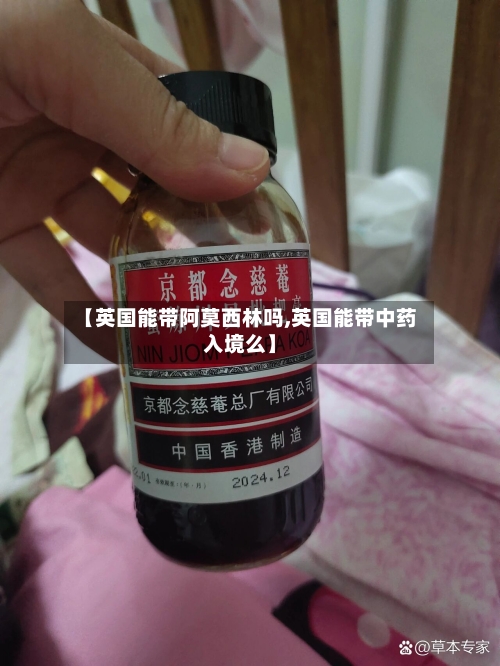 【英国能带阿莫西林吗,英国能带中药入境么】-第2张图片