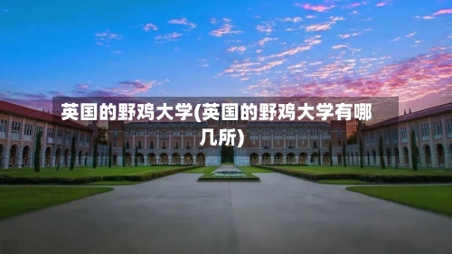 英国的野鸡大学(英国的野鸡大学有哪几所)