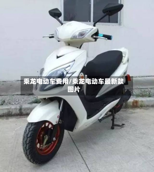 乘龙电动车费用/乘龙电动车最新款图片