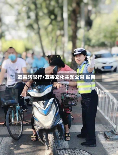 友善路限行/友善文化主题公园 站街
