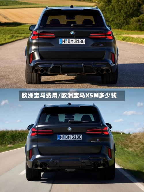 欧洲宝马费用/欧洲宝马X5M多少钱