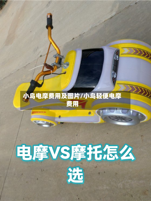 小鸟电摩费用及图片/小鸟轻便电摩费用