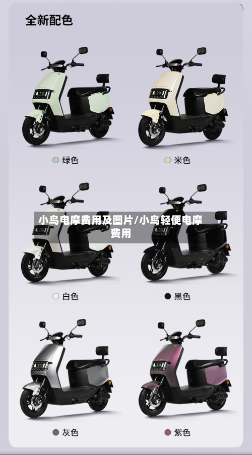 小鸟电摩费用及图片/小鸟轻便电摩费用-第3张图片