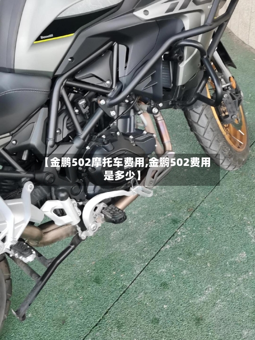 【金鹏502摩托车费用,金鹏502费用是多少】