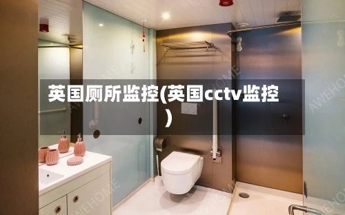 英国厕所监控(英国cctv监控)-第3张图片