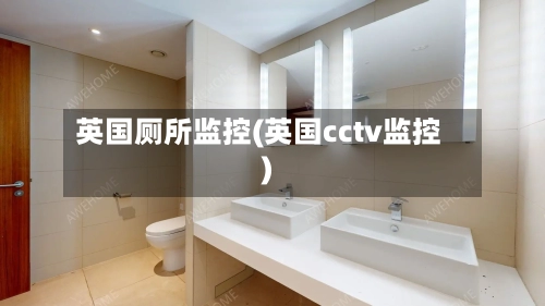 英国厕所监控(英国cctv监控)-第2张图片
