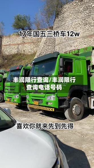 丰润限行查询/丰润限行查询电话号码