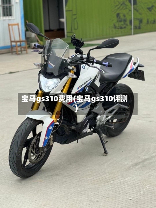 宝马gs310费用(宝马gs310评测)-第2张图片