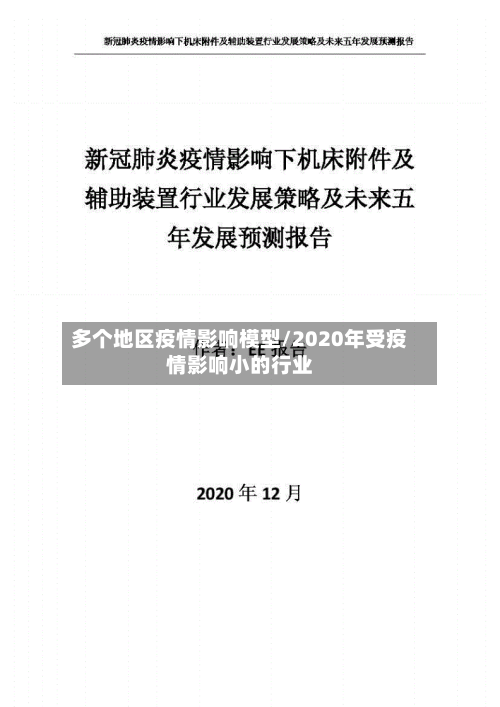 多个地区疫情影响模型/2020年受疫情影响小的行业