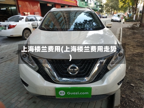 上海楼兰费用(上海楼兰费用走势)