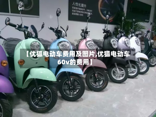 【优狐电动车费用及图片,优狐电动车60v的费用】-第3张图片