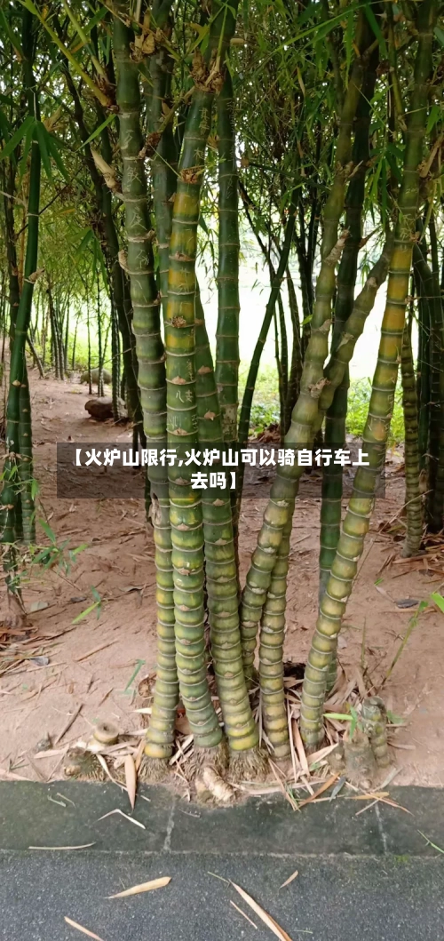【火炉山限行,火炉山可以骑自行车上去吗】-第2张图片