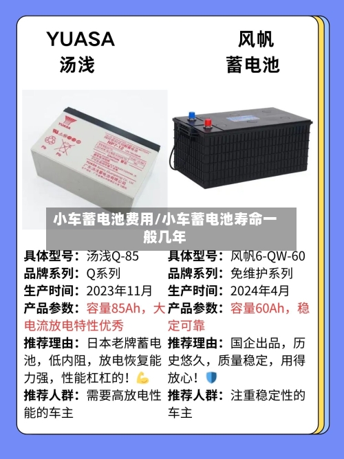 小车蓄电池费用/小车蓄电池寿命一般几年-第2张图片