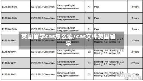 英国留学cas怎么读/cas文件英国留学-第2张图片