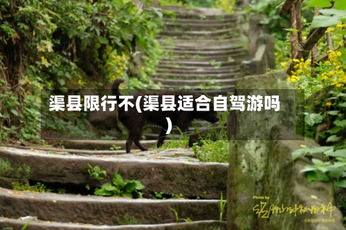渠县限行不(渠县适合自驾游吗)
