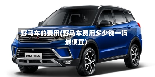 野马车的费用(野马车费用多少钱一辆最便宜)-第2张图片