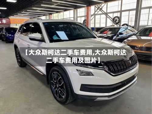 【大众斯柯达二手车费用,大众斯柯达二手车费用及图片】-第3张图片