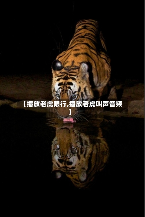 【播放老虎限行,播放老虎叫声音频】