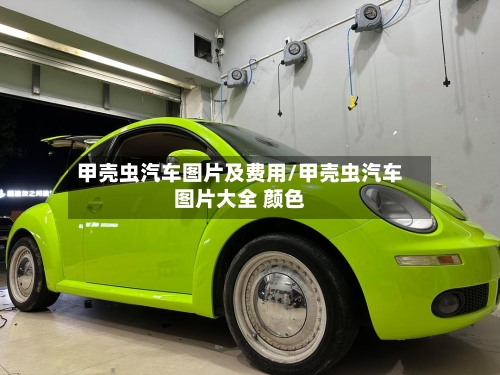 甲壳虫汽车图片及费用/甲壳虫汽车图片大全 颜色-第3张图片