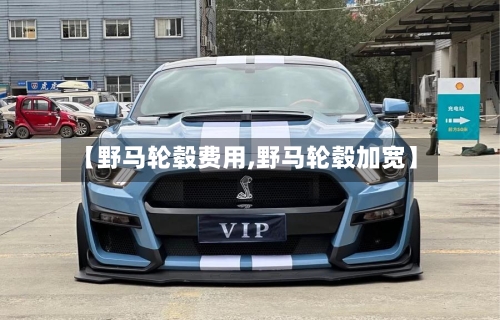 【野马轮毂费用,野马轮毂加宽】-第3张图片