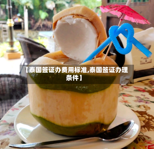 【泰国签证办费用标准,泰国签证办理条件】-第2张图片