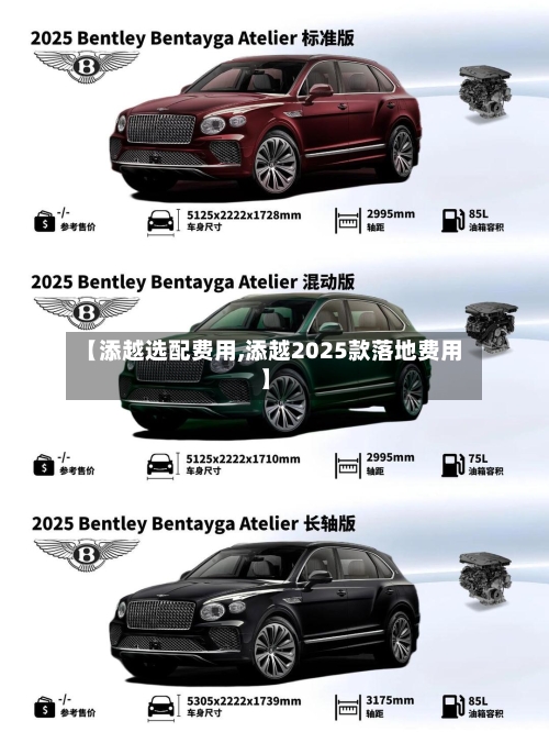 【添越选配费用,添越2025款落地费用】-第2张图片