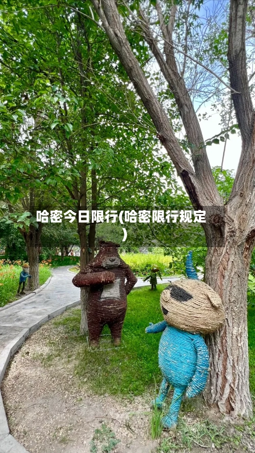 哈密今日限行(哈密限行规定)