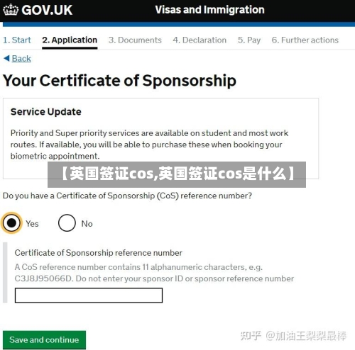 【英国签证cos,英国签证cos是什么】