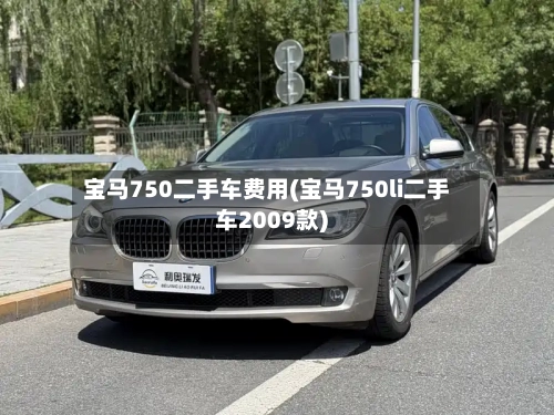 宝马750二手车费用(宝马750li二手车2009款)-第3张图片