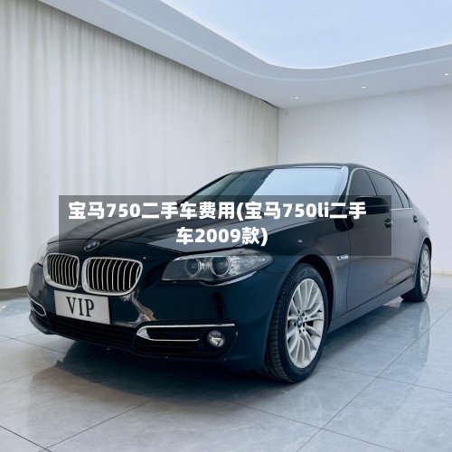 宝马750二手车费用(宝马750li二手车2009款)-第2张图片