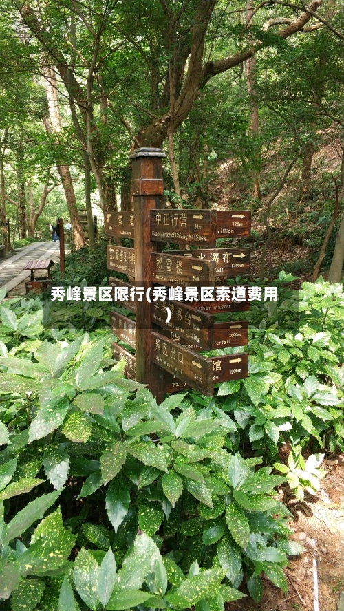 秀峰景区限行(秀峰景区索道费用)