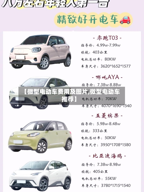 【微型电动车费用及图片,微型电动车推荐】-第2张图片