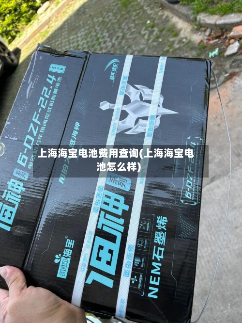 上海海宝电池费用查询(上海海宝电池怎么样)-第2张图片