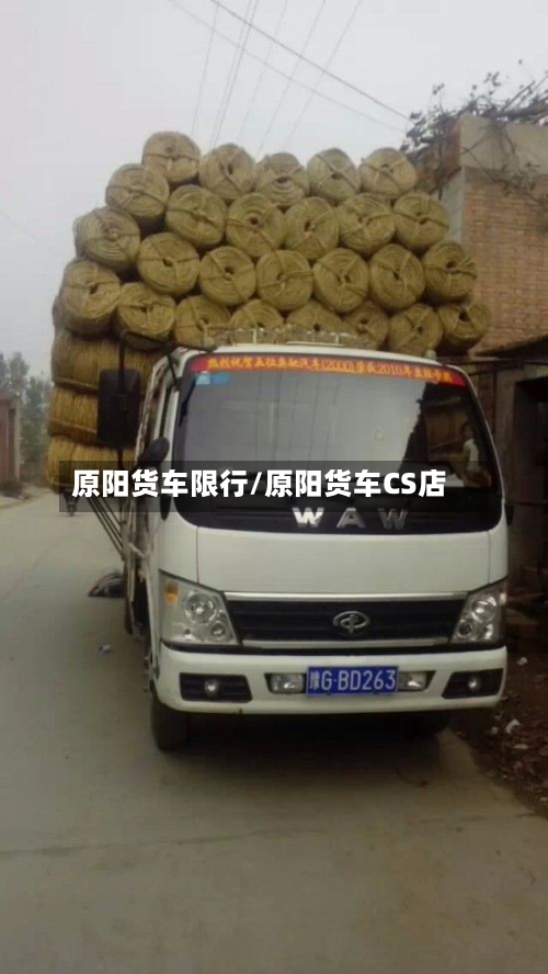 原阳货车限行/原阳货车CS店