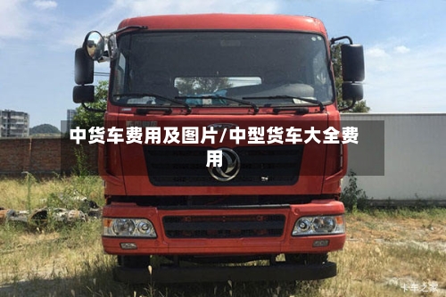 中货车费用及图片/中型货车大全费用-第2张图片