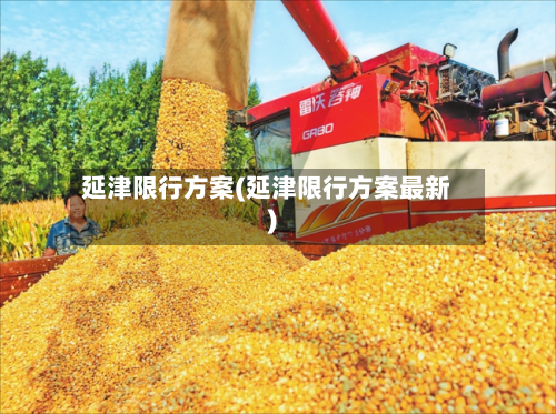 延津限行方案(延津限行方案最新)