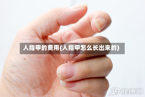 人指甲的费用(人指甲怎么长出来的)