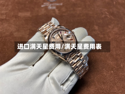 进口满天星费用/满天星费用表-第2张图片