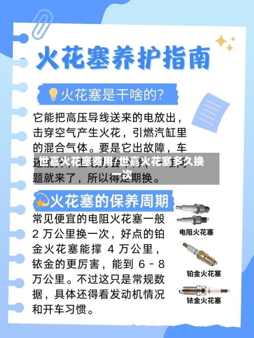 世嘉火花塞费用/世嘉火花塞多久换一次