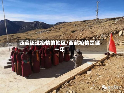 西藏还没疫情的地区/西藏疫情是哪一年-第3张图片