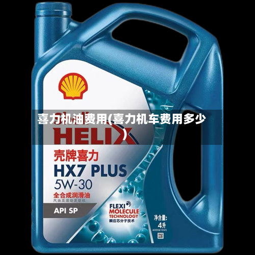 喜力机油费用(喜力机车费用多少)