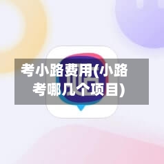 考小路费用(小路考哪几个项目)
