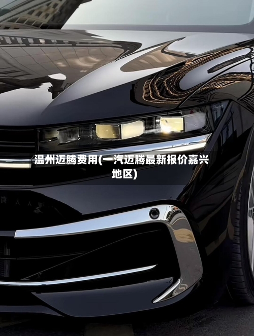 温州迈腾费用(一汽迈腾最新报价嘉兴地区)