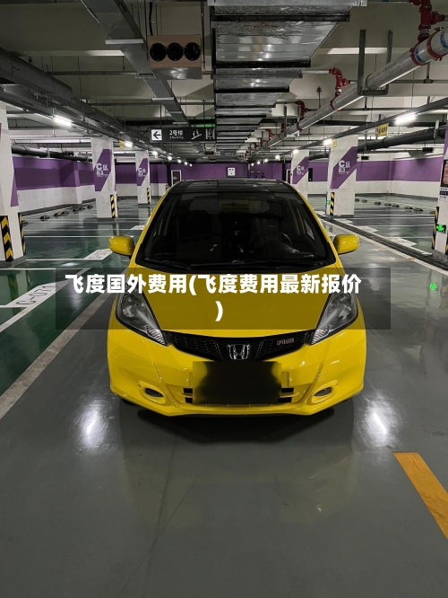 飞度国外费用(飞度费用最新报价)-第3张图片