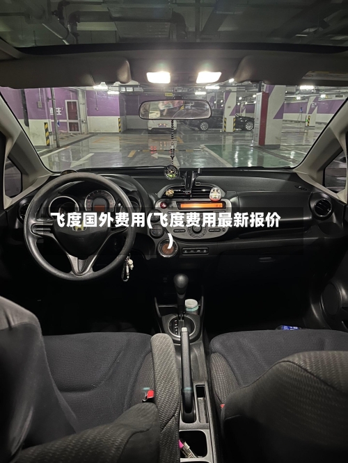 飞度国外费用(飞度费用最新报价)